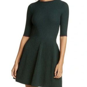 Ted Baker Renyina Tipped Sweater Skater Dress In Dark Green
